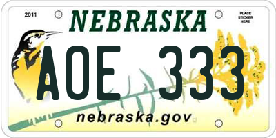 NE license plate AOE333