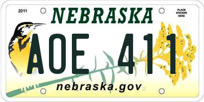 NE license plate AOE411