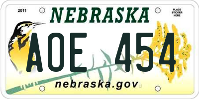 NE license plate AOE454