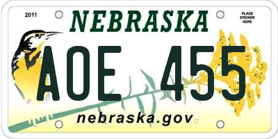 NE license plate AOE455