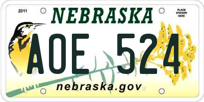 NE license plate AOE524