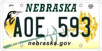 NE license plate AOE593