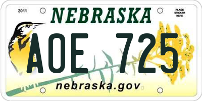 NE license plate AOE725