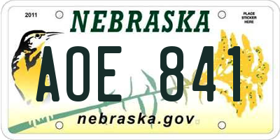 NE license plate AOE841