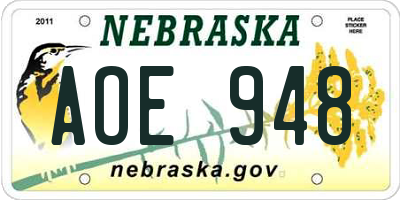 NE license plate AOE948