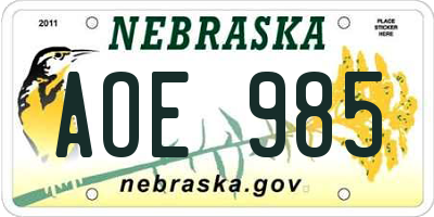 NE license plate AOE985