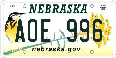 NE license plate AOE996