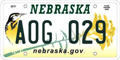 NE license plate AOG029