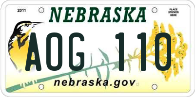 NE license plate AOG110