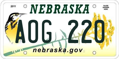 NE license plate AOG220