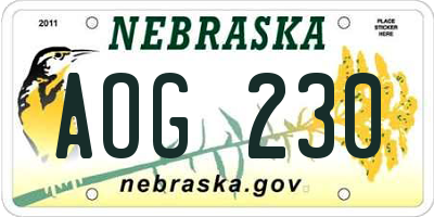 NE license plate AOG230