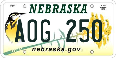 NE license plate AOG250