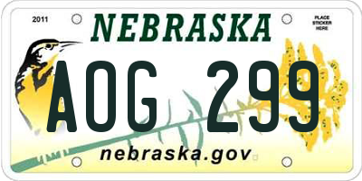 NE license plate AOG299