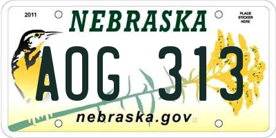 NE license plate AOG313