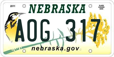 NE license plate AOG317