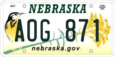 NE license plate AOG871