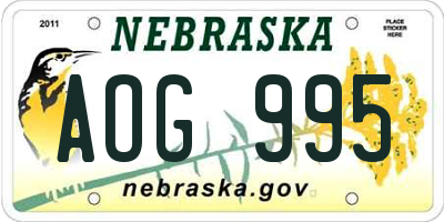 NE license plate AOG995