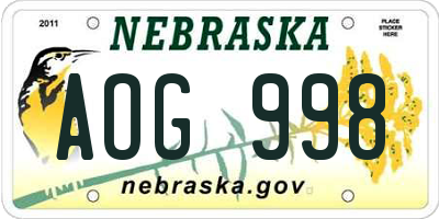 NE license plate AOG998