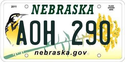 NE license plate AOH290