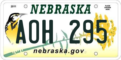 NE license plate AOH295