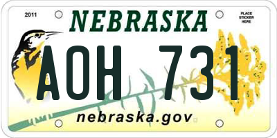 NE license plate AOH731