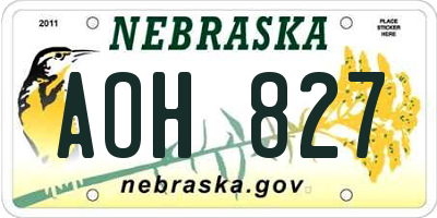 NE license plate AOH827