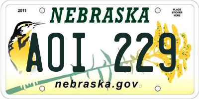 NE license plate AOI229