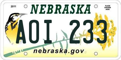 NE license plate AOI233