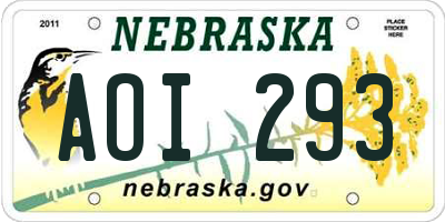 NE license plate AOI293