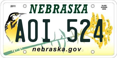 NE license plate AOI524