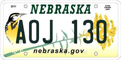 NE license plate AOJ130