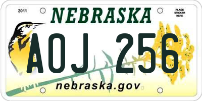 NE license plate AOJ256