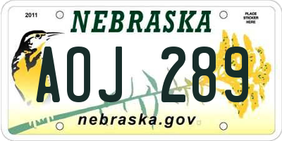 NE license plate AOJ289
