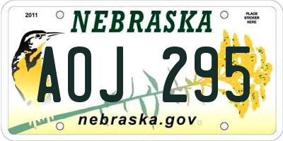 NE license plate AOJ295