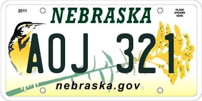 NE license plate AOJ321