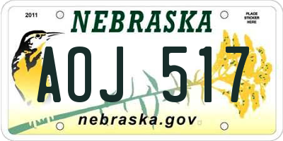 NE license plate AOJ517