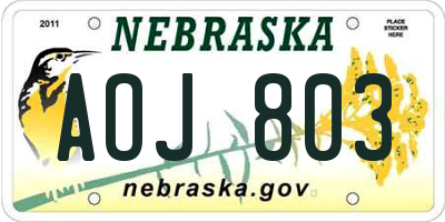 NE license plate AOJ803