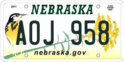 NE license plate AOJ958