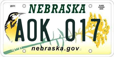 NE license plate AOK017