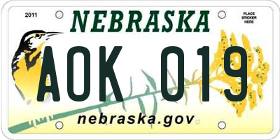 NE license plate AOK019
