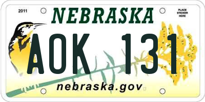 NE license plate AOK131