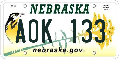 NE license plate AOK133