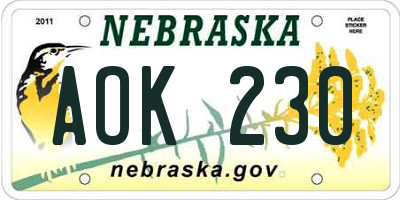 NE license plate AOK230