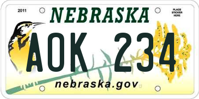 NE license plate AOK234