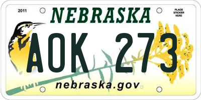NE license plate AOK273