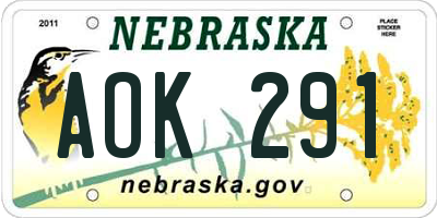 NE license plate AOK291