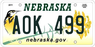 NE license plate AOK499