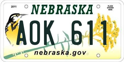 NE license plate AOK611