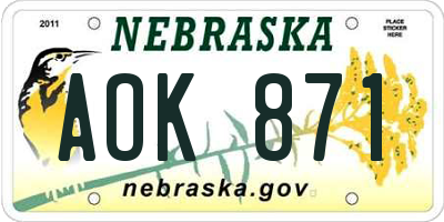 NE license plate AOK871