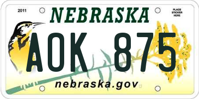 NE license plate AOK875